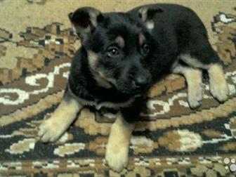 ����� ����  ����� ������, ������� 1�����, � �������