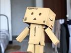 Danbo