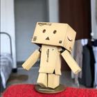 Danbo