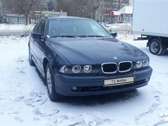  BMW E39    ,    ,   ,    ,   ,          