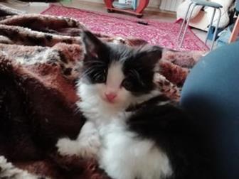      ,  1  24  ,  ,    -,   ,  ,  