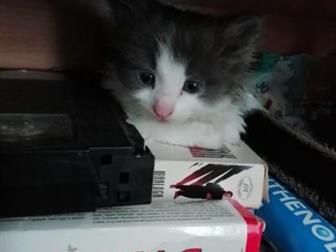      ,  1  24  ,  ,    -,   ,  ,  