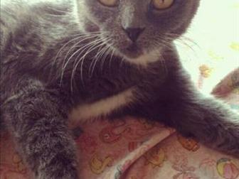     ,    ,  , ,  ,   ,  ,    ,         