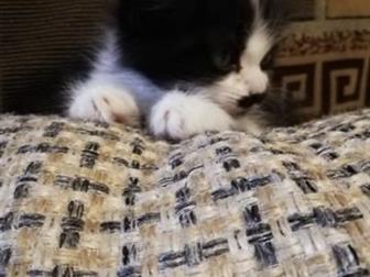  ,     ,  - ,   ,  ,  ,  