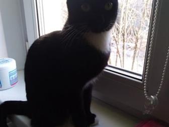           ,   1,5   ,   ,     ,  ,   ,  