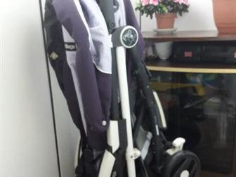 , ,         Peg -Perego Pliko P3,   ,     ,     