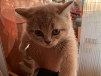      !   ,   ,             ,    