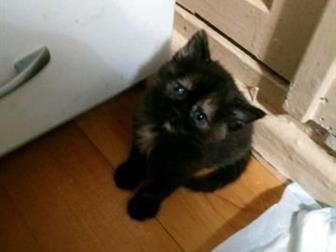      (   ) , , ,  12, 10, , ,      , , ,        