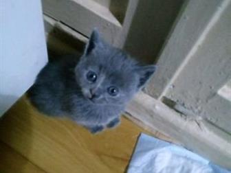      (   ) , , ,  12, 10, , ,      , , ,        