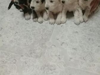    , 3  1   