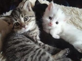  ,     !    ,  ,   ,   ,  