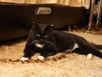   , ,   -, , , , , ,   ,       ,    