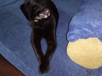   , ,      ,  2 !    ,     ((     !    