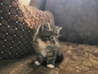     ,  19 ,  ,   ,   ,   ,  , 3     