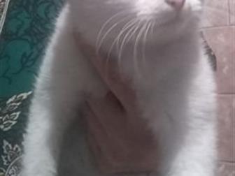   ,   5 ,  ,   , ,     ,  