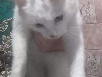   ,   5 ,  ,   , ,     ,  