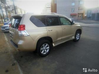  LAND CRUISER PRADO   ,  , 7 ,   ,   ,    , ,  