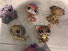 Littlest Pet Shop