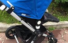  bugaboo cameleon 3 21