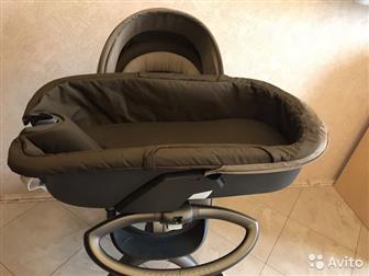   Stokke explorer 2-1 (,  , ),  ,   ,    ,  ,  