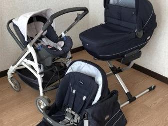   Inglesina ,     ,    ,     : ,,, ,,,  