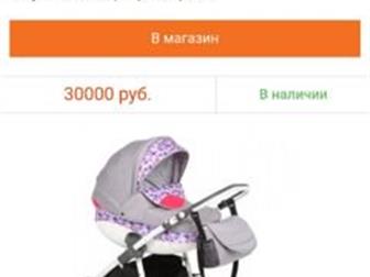   3  1,   , ??     ,   3  1 Rudis Solo   ,        
