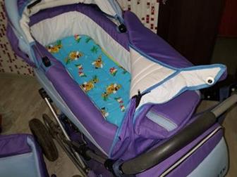    , Plaudi Alba -    ,    ,  ,         