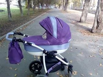    ,   , ,     ,        ,     