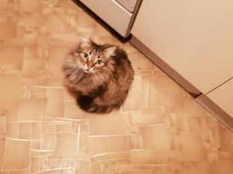   , 3 ,   , , , ,       ),        