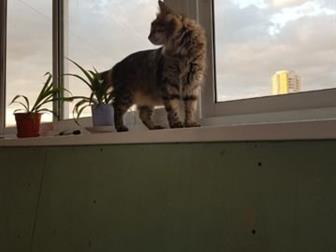   , 3 ,   , , , ,       ),        