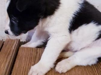 - 2, 5,    ,       ,    ,  