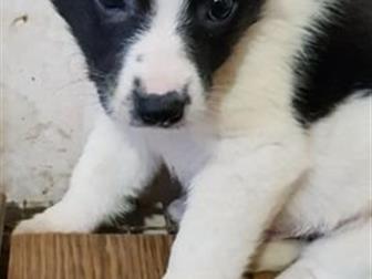 - 2, 5,    ,       ,    ,  