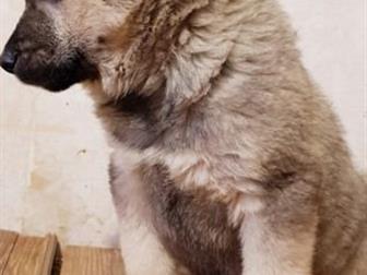 ����� -�������,  ��� ������ � ������� ����� � ��������,    ��������� �� ���������,  ������� ������,  ������� ����� ���� ������, � �������������