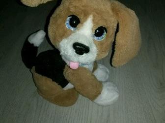  ,  ,   , : /  