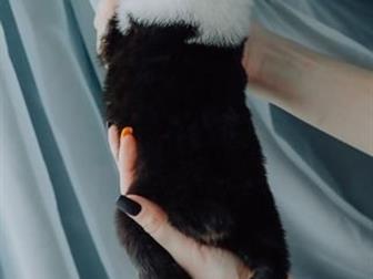      ,    , ,  ,   ,      