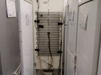  Electrolux 1  365  !    !    :-    