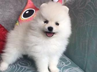     ,   , , ,   2 ,   , ,  ,    ,   