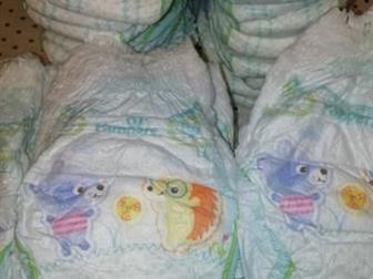  pampers pants 6 ( 15 ) 51 ,  /   , :   