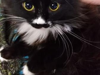 , ,   ,  ,   ,    ,  ,     ,  