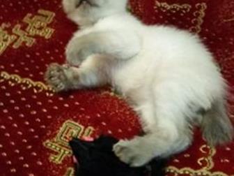       ,      ,    , , 17, 01, 20,   ,  