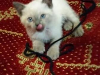       ,      ,    , , 17, 01, 20,   ,  