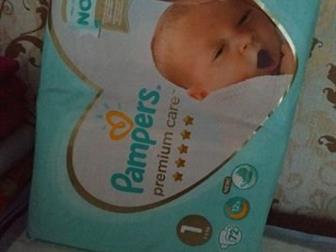  pampers premium caer 1 ( 72) ,   ,      5 , : /  