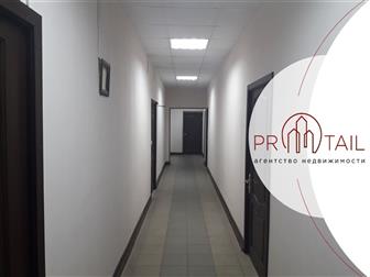    

         6,  
   :
	 3: 30 ,  , , 650 /,  