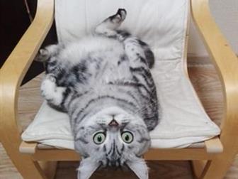   ,     ,    , 22, 06, 2014 , ,     MystiCat,    ,   