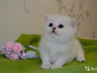    Winter Story          ,    ,    