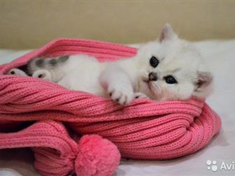    Winter Story          ,    ,    