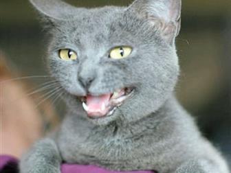    ,   , ,      15, ,   ,   ,    ,   , ,  ,  