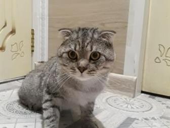   - ,  ,  - ,   ,   ??  ??      