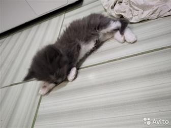  ,   ,  ,   ,  ,     