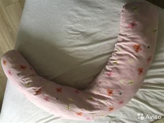   ,   : /  